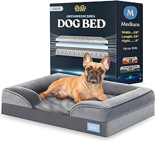 Picture of a Dog Bed