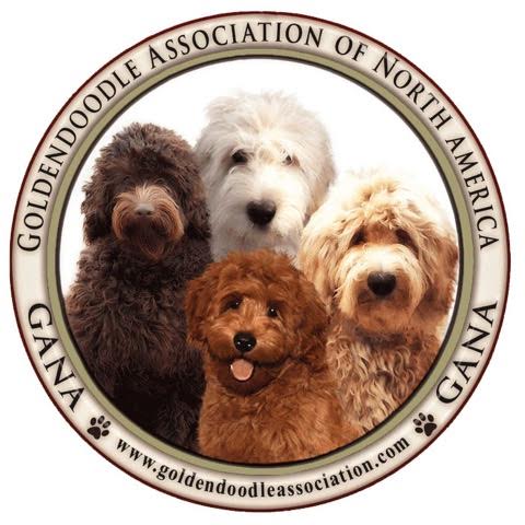 Former Member Goldendoodle Association of North America